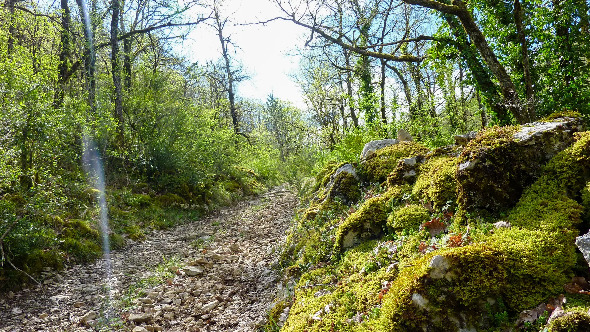Rocaille - Montée sur le combe de Girons © Lot Tourisme - C. Sanchez