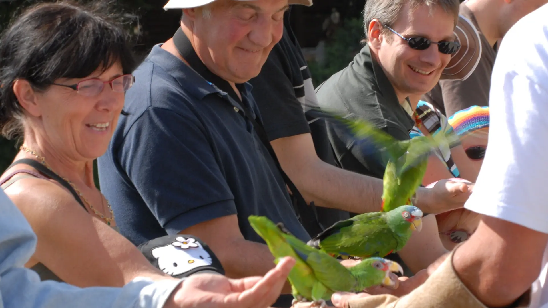 RocherAigles_SpectaclePerroquets