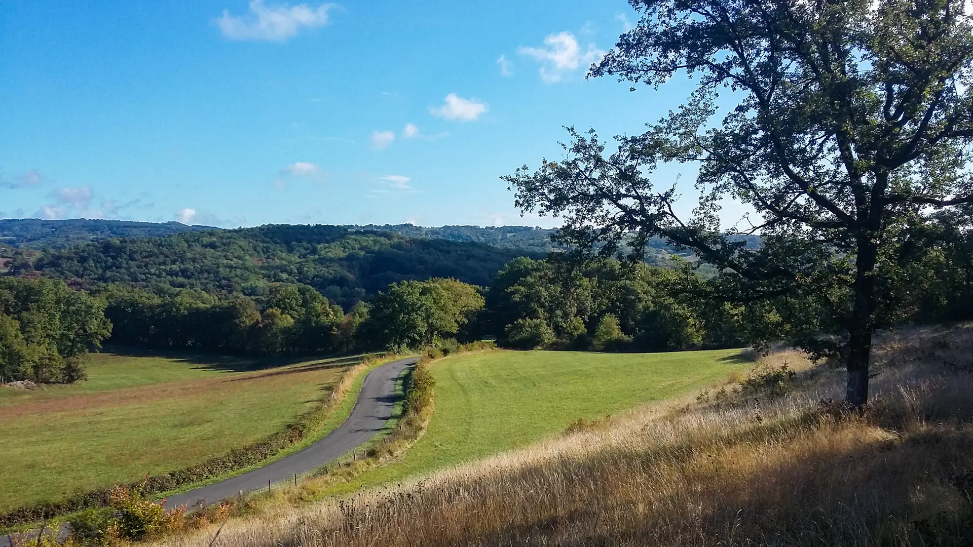 Route du Limargue entre Albiac et Rueyres_10 © Lot Tourisme - A. Leconte