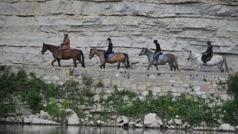 Centre Equestre Cheval Rando Equitation