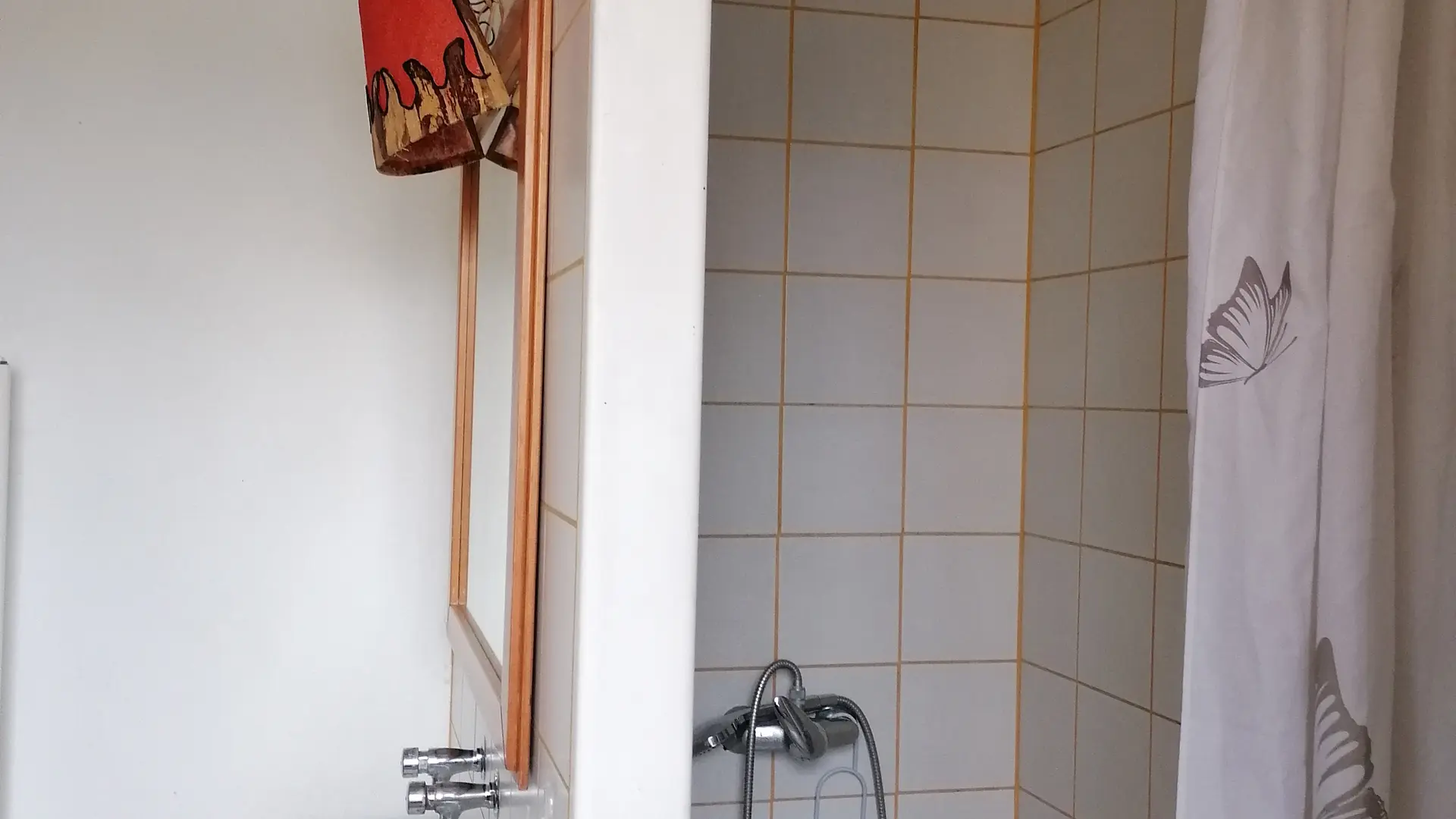 SDB Zoom Lavabo et douche