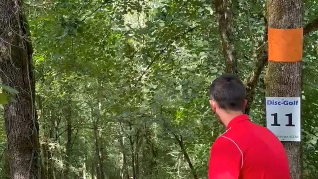 Disc-Golf