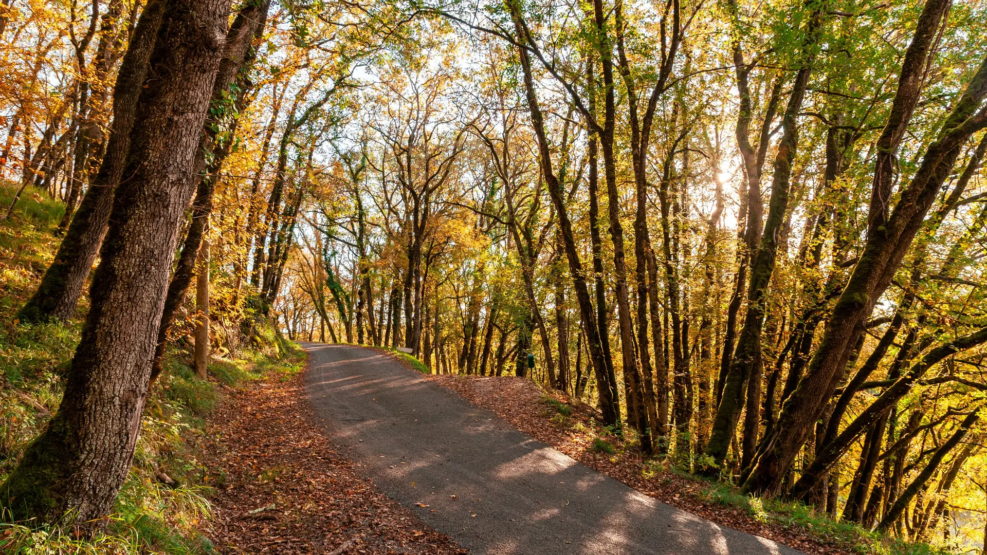 Route d'Automne Concores