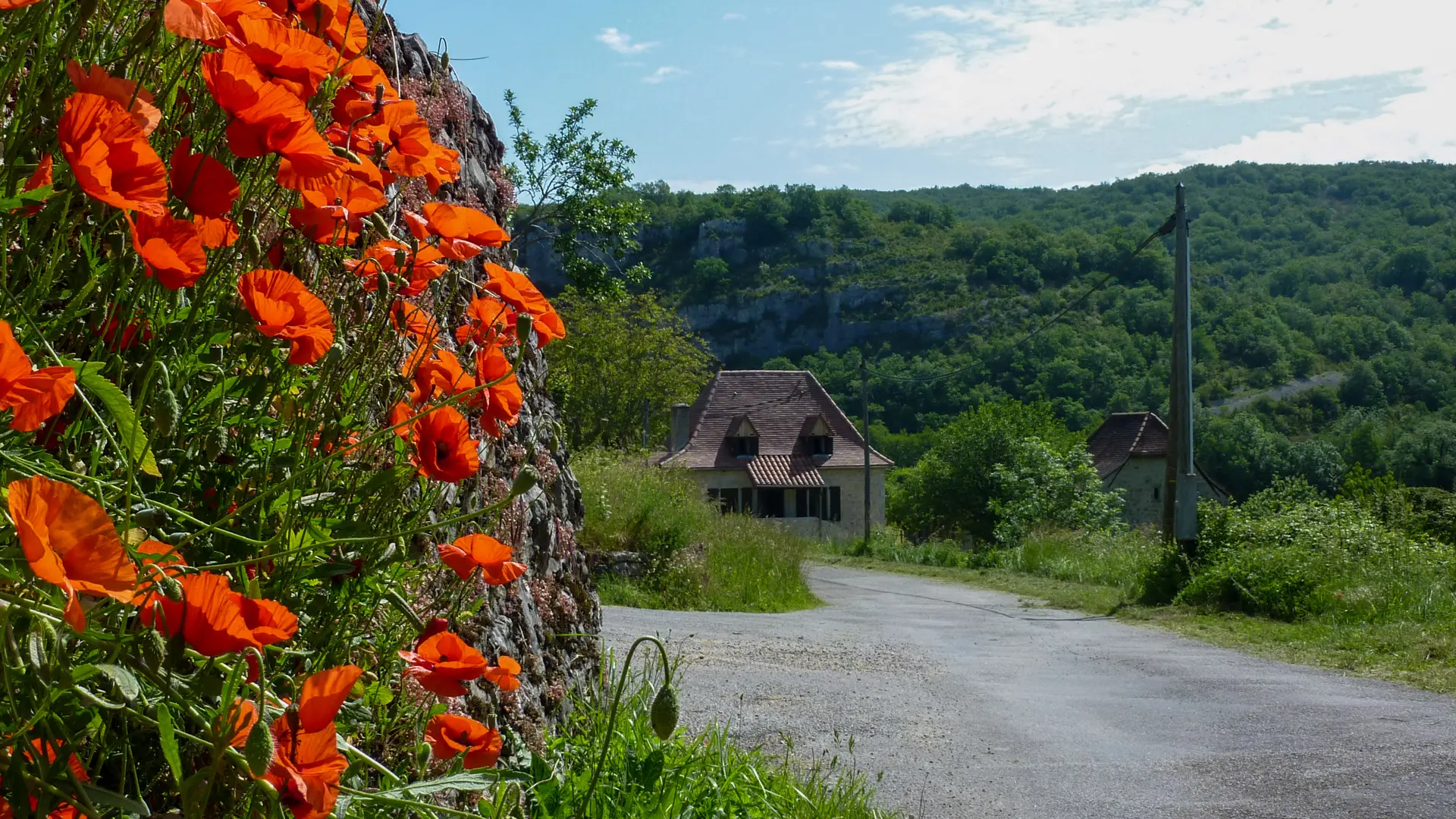 Sauliac - coquelicots et maison traditionnelle _04 © Lot Tourisme - C. Sanchez