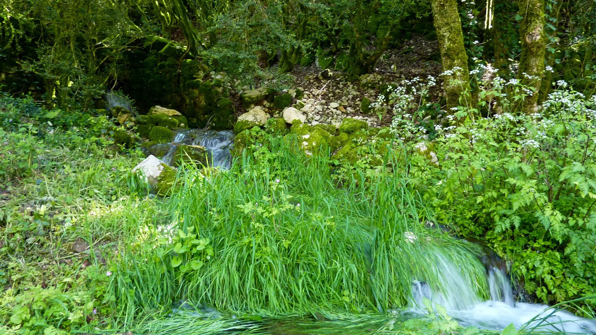 Semberot - Ruisseau de Verboul en cascade © Lot Tourisme - C. Sanchez