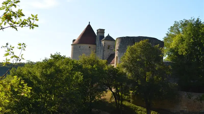 Sentier de Linars Vue sur le chateau