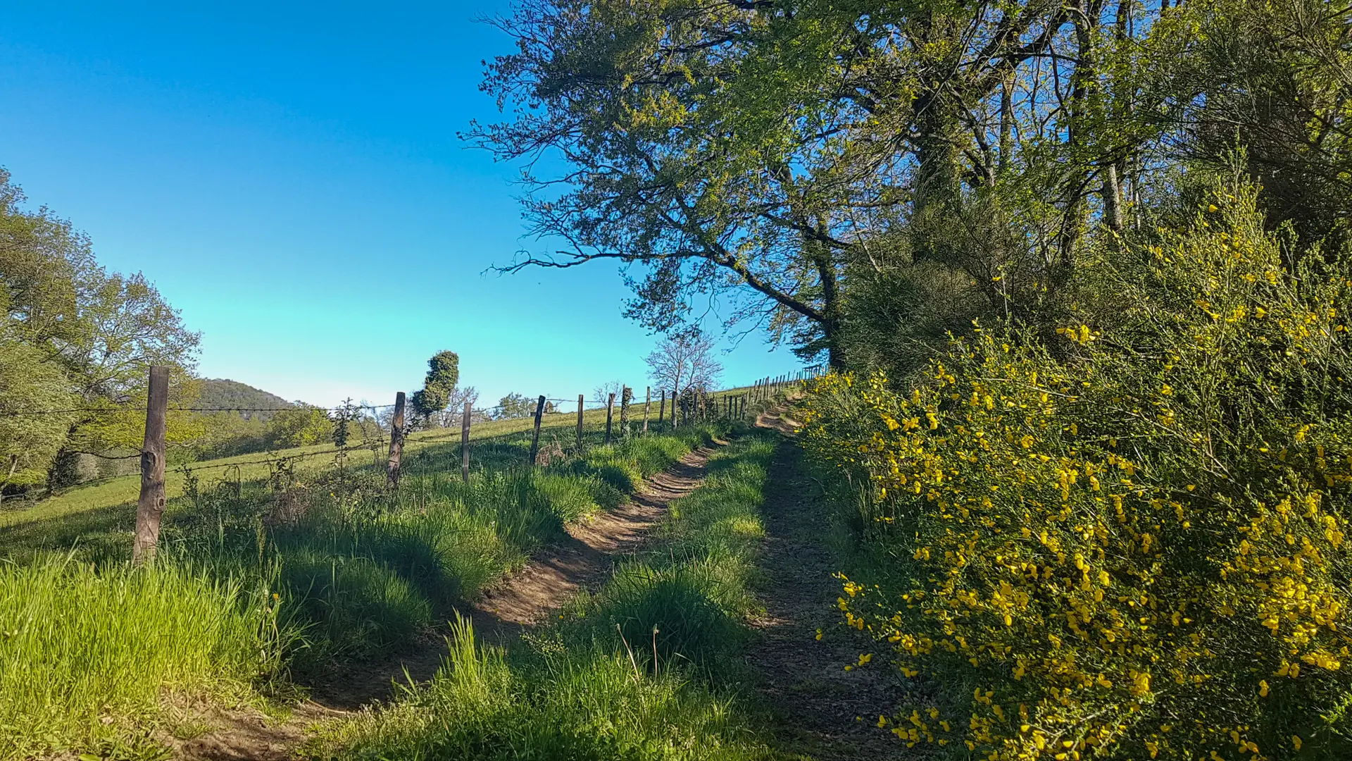 Sentier de Teyssieu à Estal