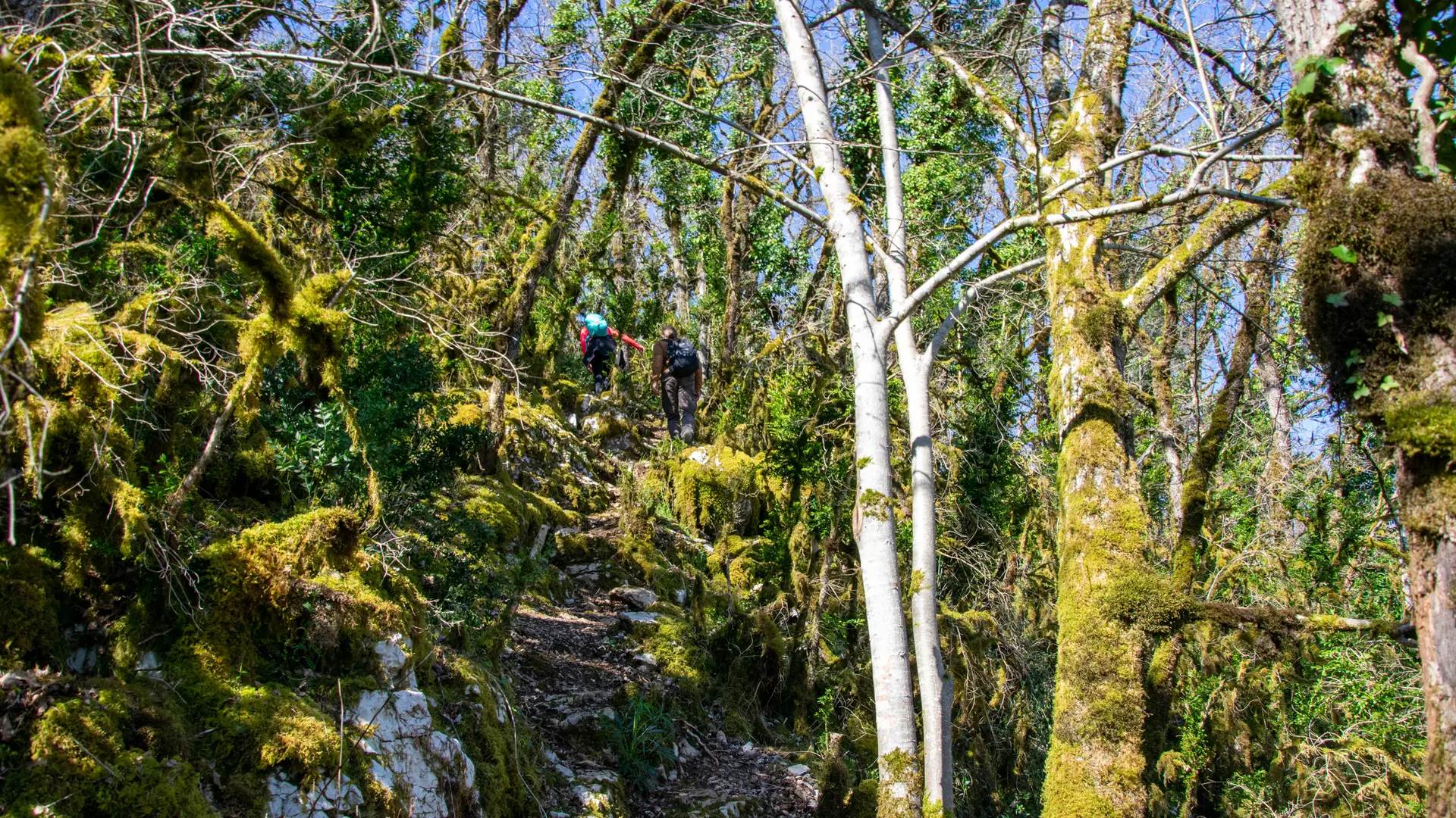 Sentier karstique et de Crégols karstique de Crégols