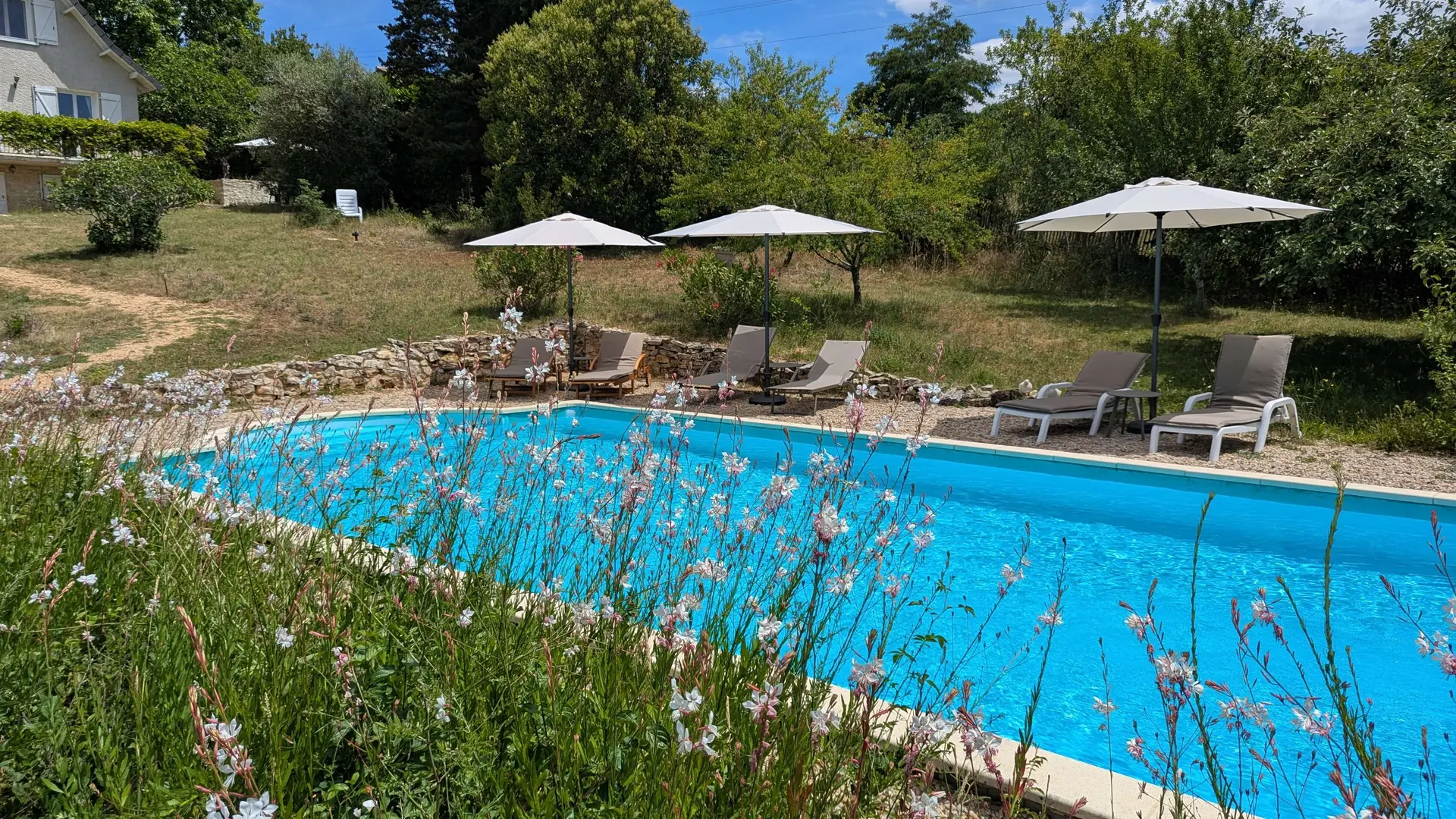 Swimming pool 1