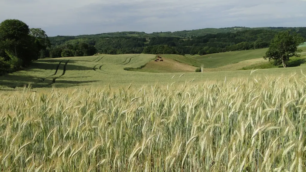 TERROU-paysage