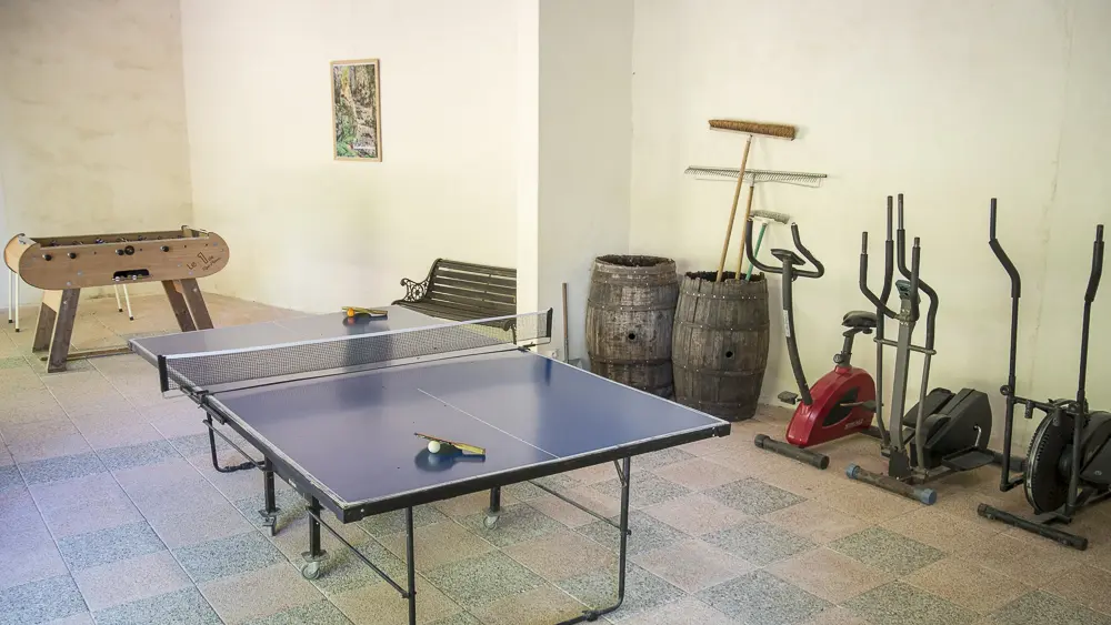 Terrain de Jeu (pétanque et grande salle de jeu)