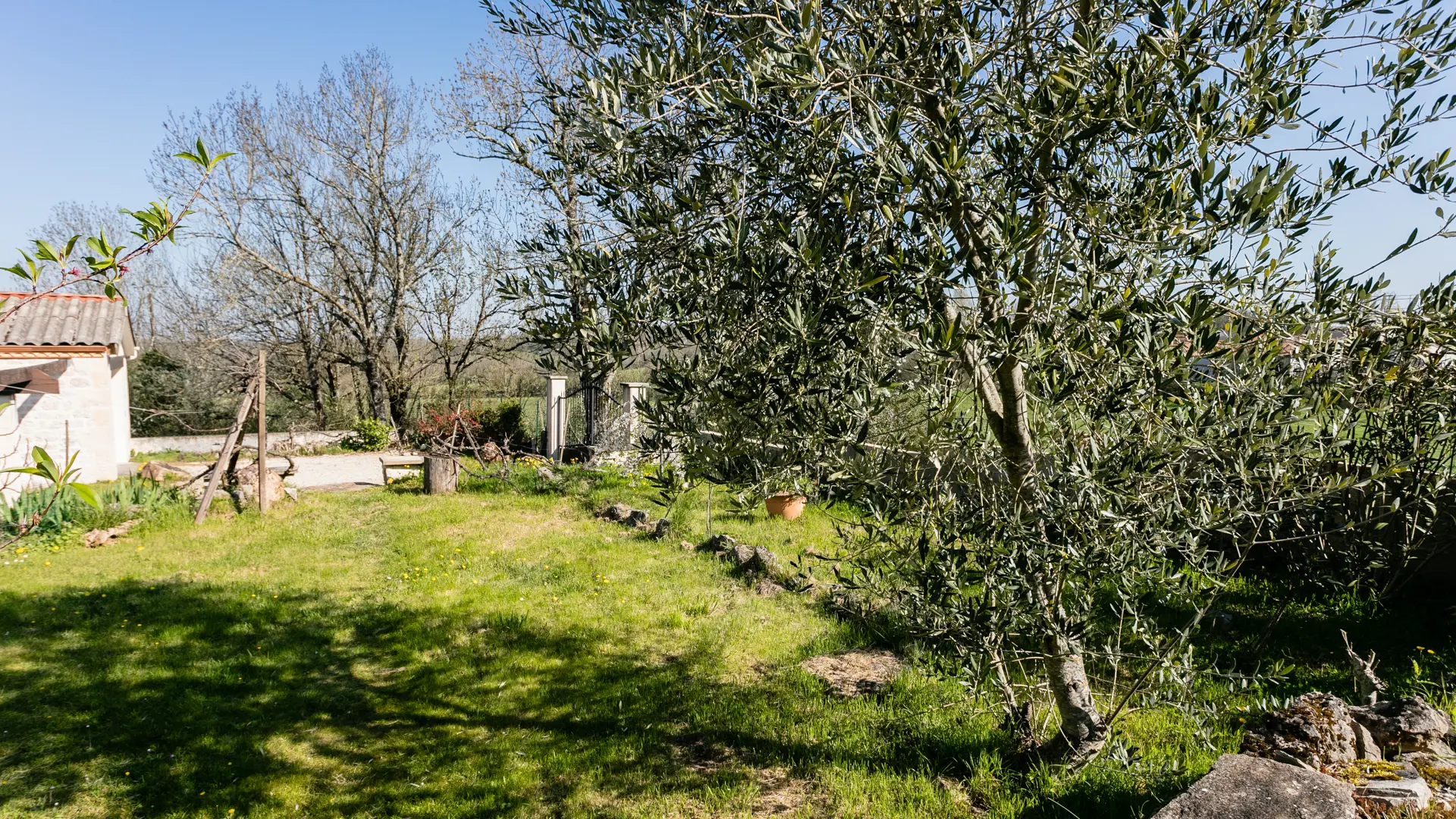 Terrasse RDC jardin clos