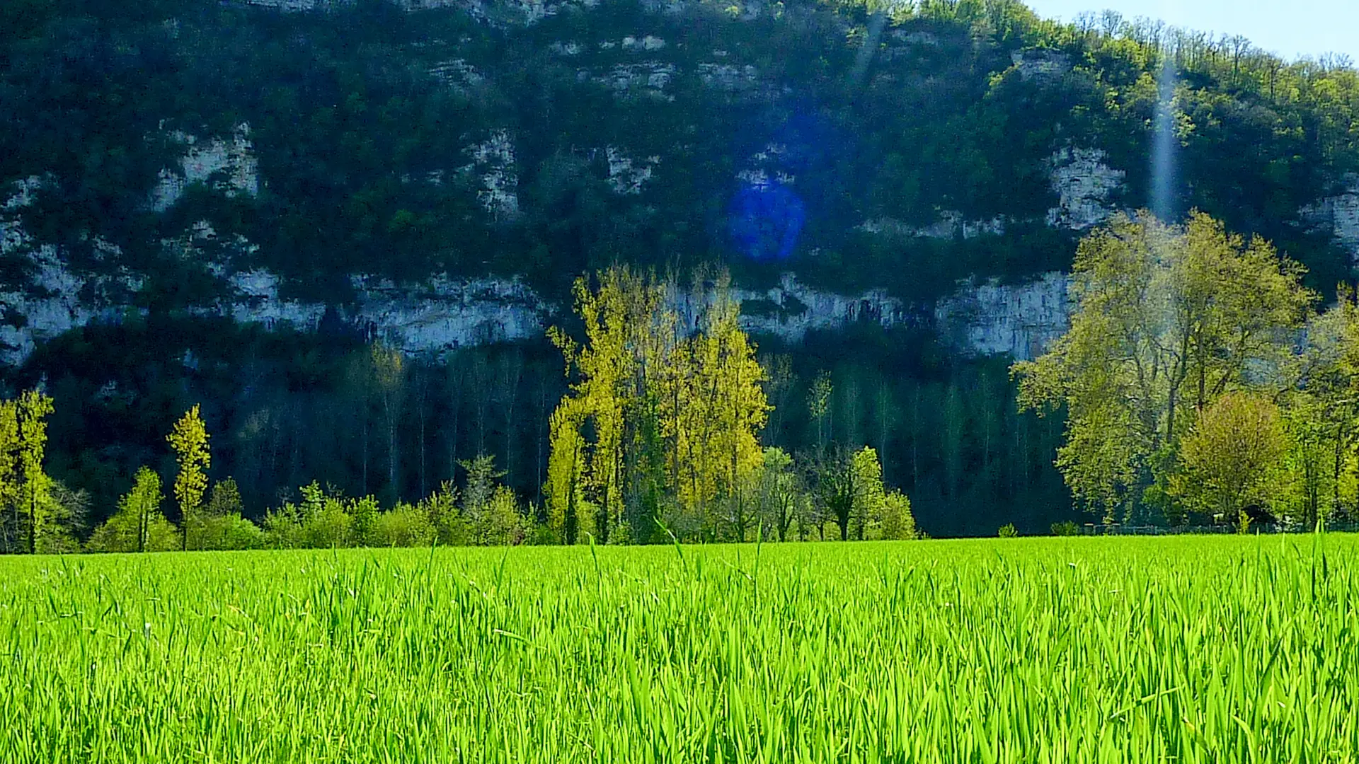 Teulière - Grandes étendues verdoyante © Lot Tourisme - C. Sanchez