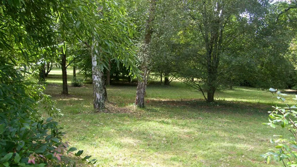 The garden and its specimen trees