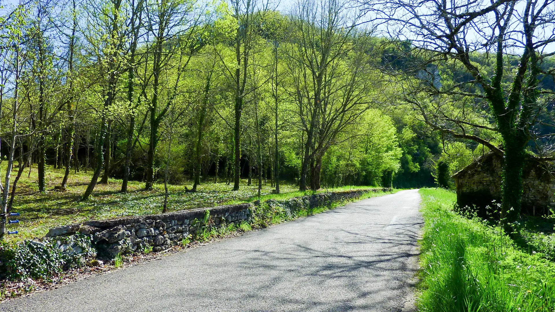 Trigoulet - Balade au milieu des chênes © Lot Tourisme - C. Sanchez