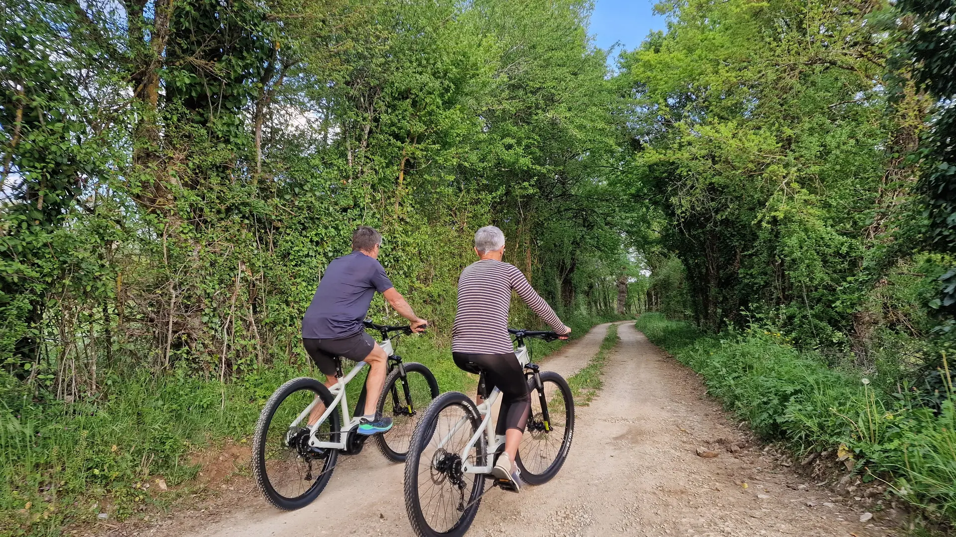 VTT Electriques en location - Randonnées