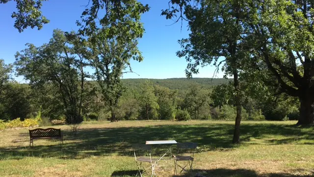 Vue sur la forêt du Causse de la terrasse