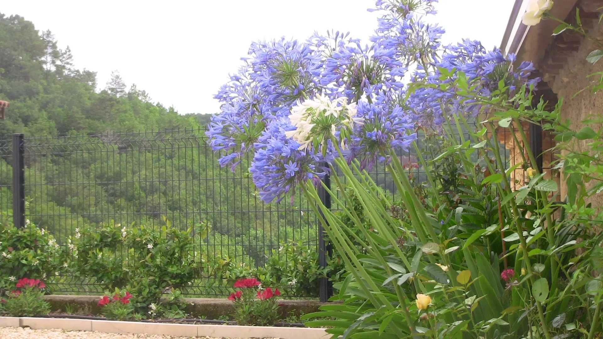 VUE du Gîte