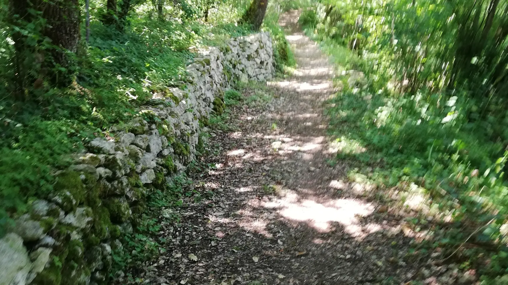 Vallon Lestang-adaunac (1)