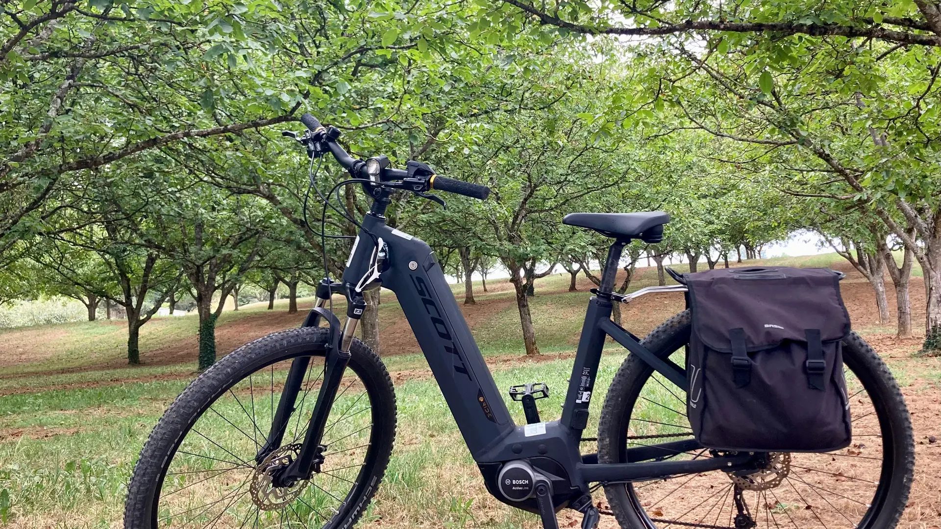 Vélo saccoche noyer