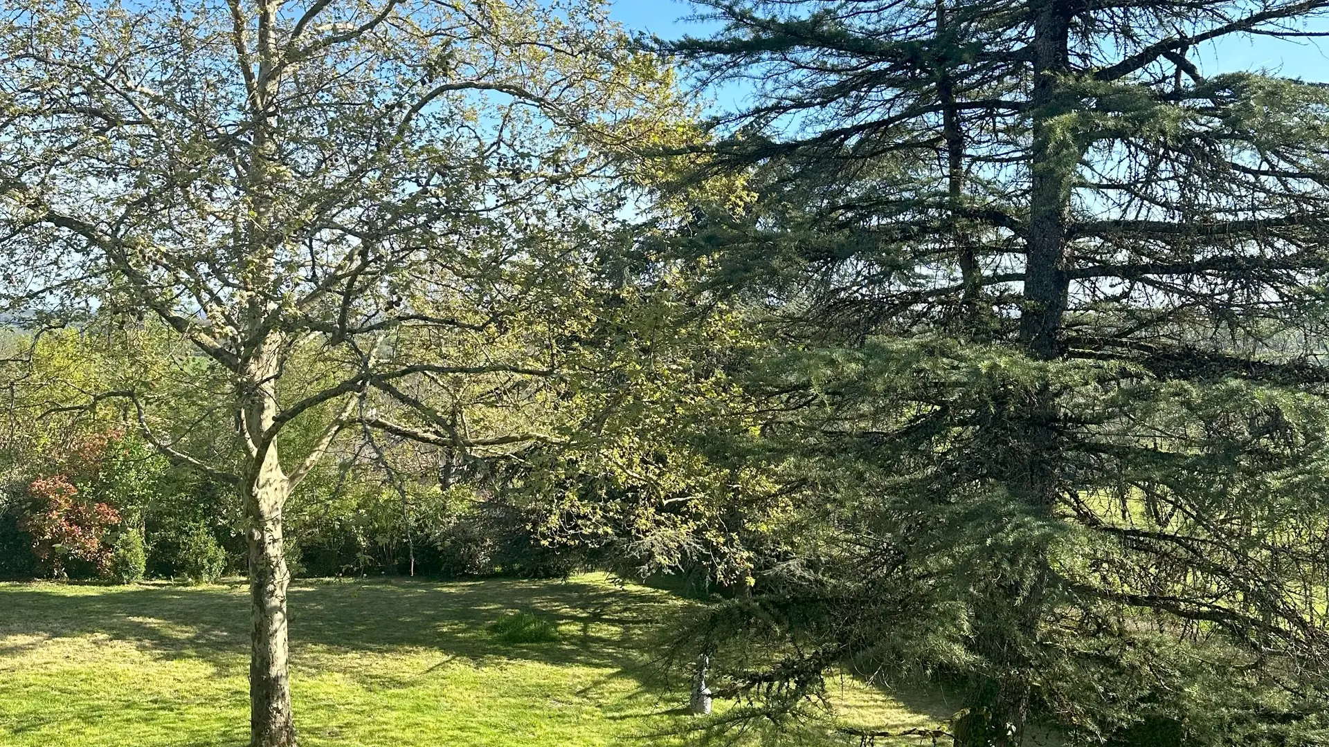 Vue de la chambre Verde