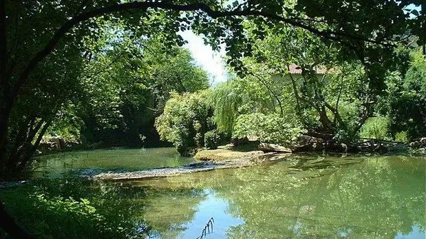 Vers vu du jardin