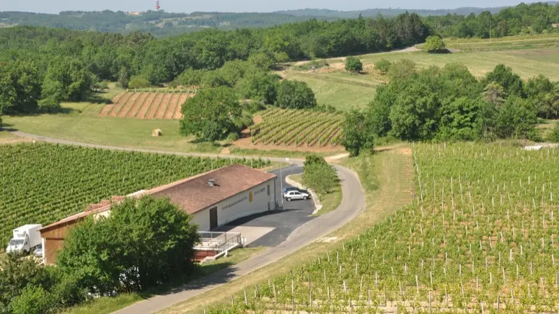 Vin de Domme 3