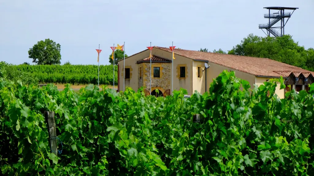 Vin de Domme