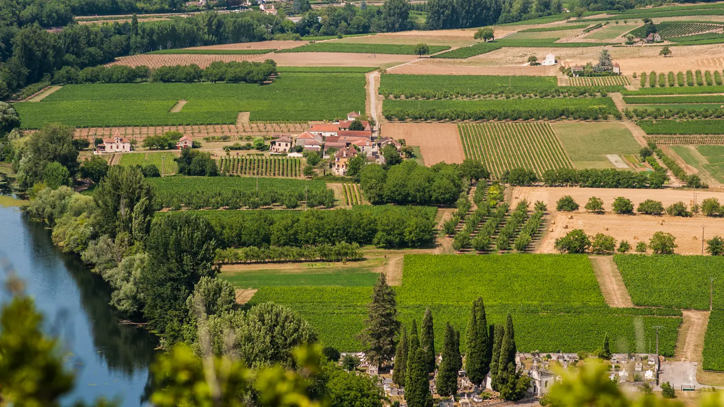 Vignes à Albas Vallée du Lot_12 © Lot Tourisme - C. ORY