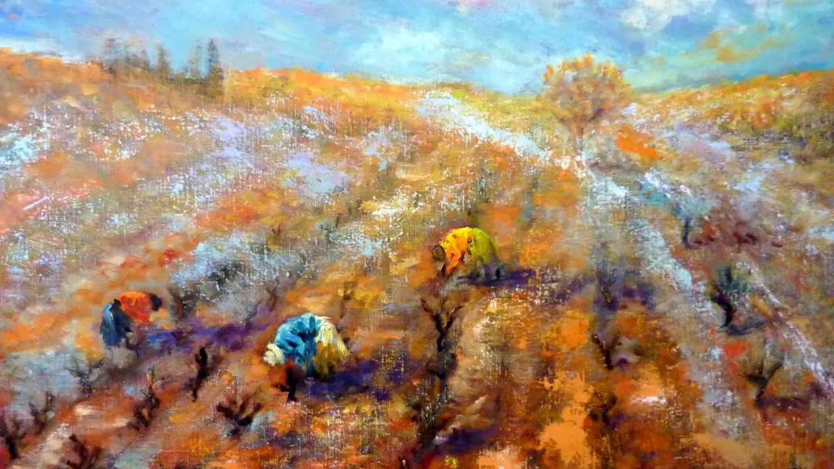Vignes en hiver
