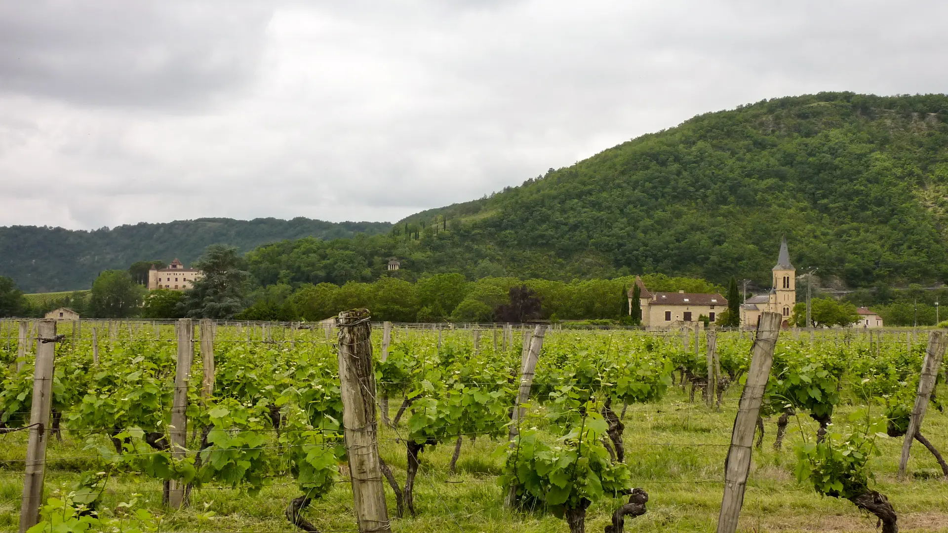 Vignes et Eglise de Parnac _01 © Lot Tourisme - C. Sanchez