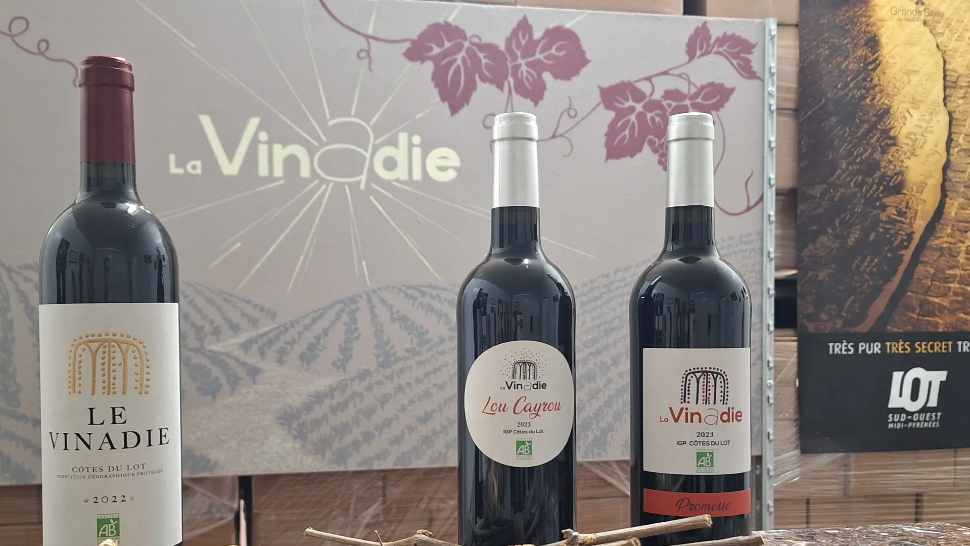 Vignoble La Vinadie Lot vin rouge bio vigne 46100