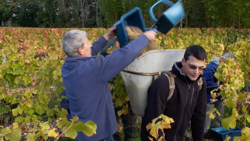 Vignoble de Cahors