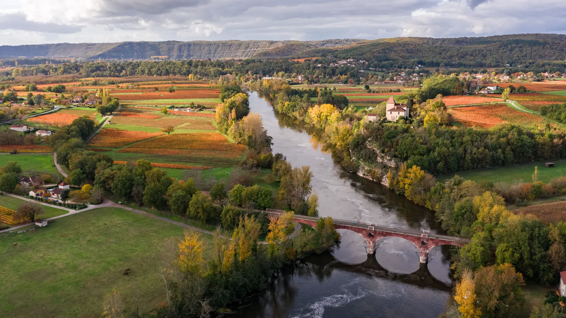 Vignoble de Cahors en automne à Douelle