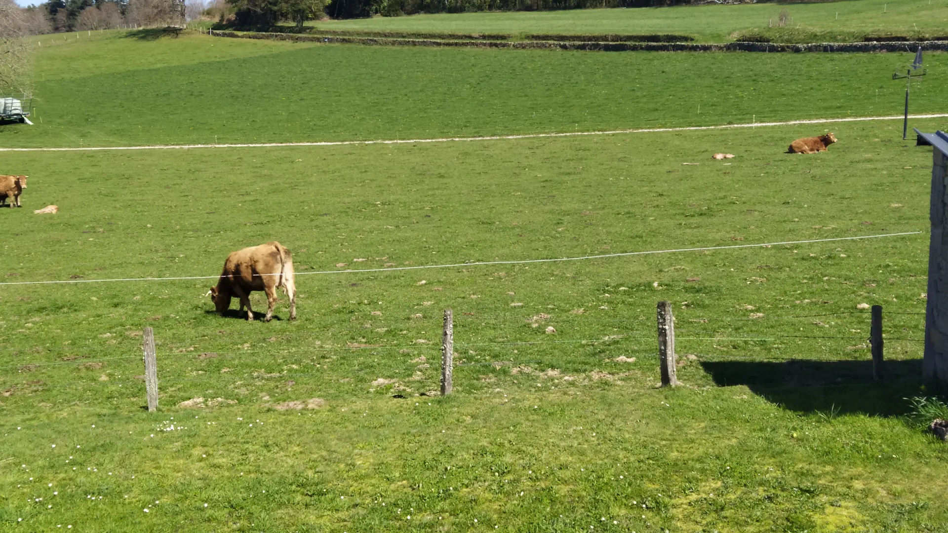 Ferme Gleinadin - vue du jardin sur les prés