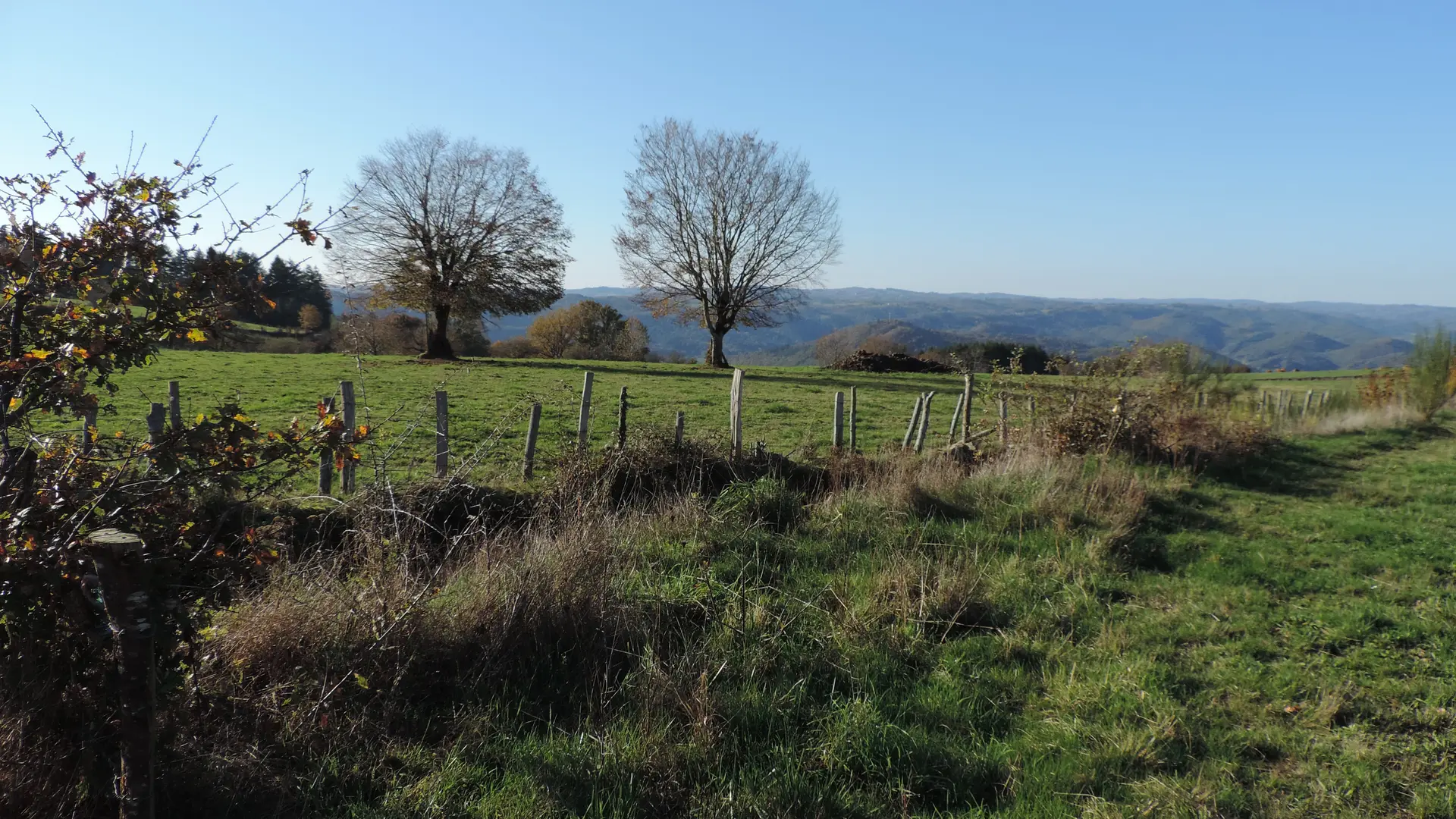 Vue claire et lointaine