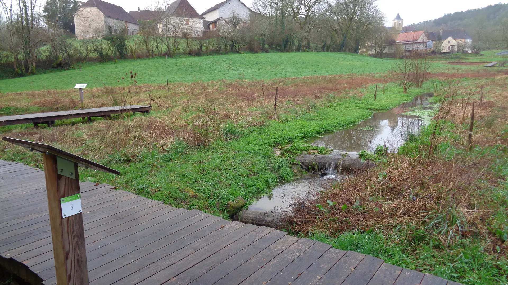 Vue aménagement prairie humide