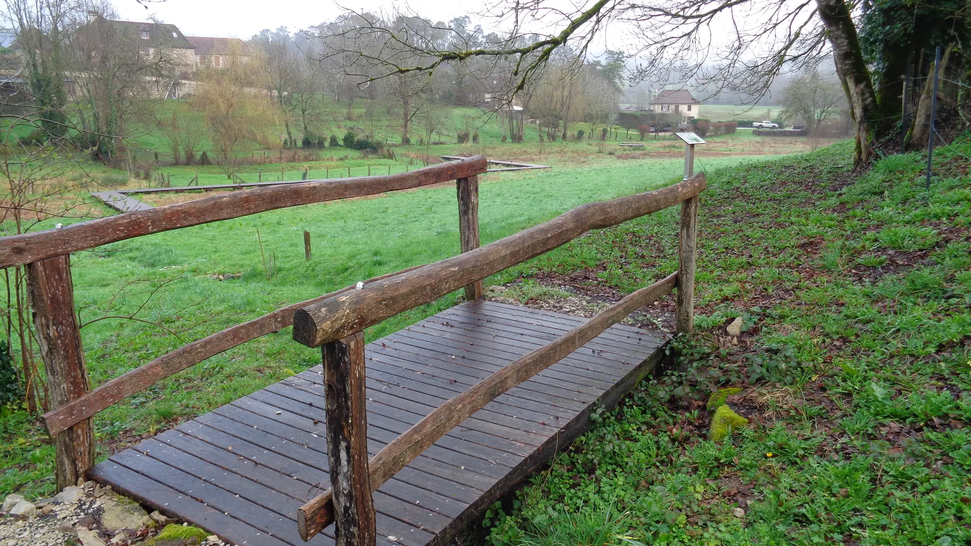 Vue aménagement prairie humide