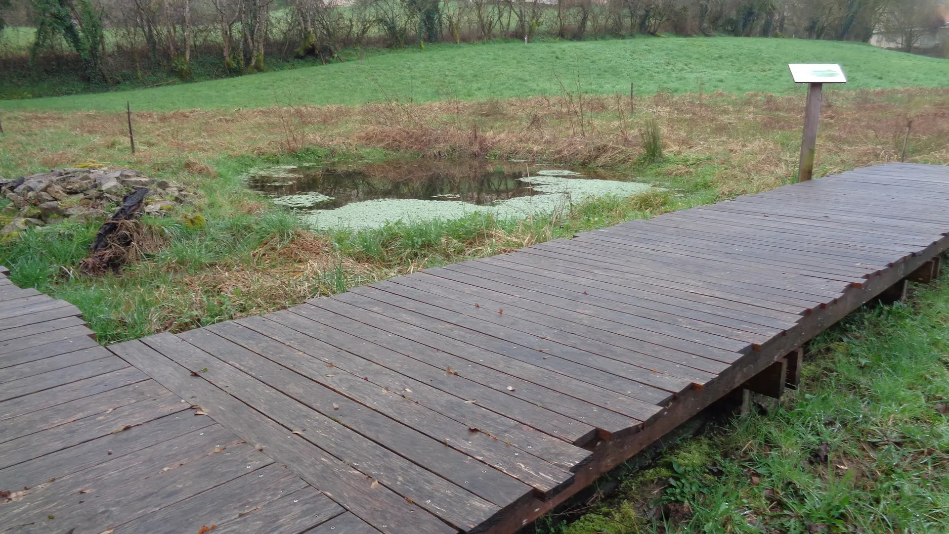 Vue aménagement prairie humide