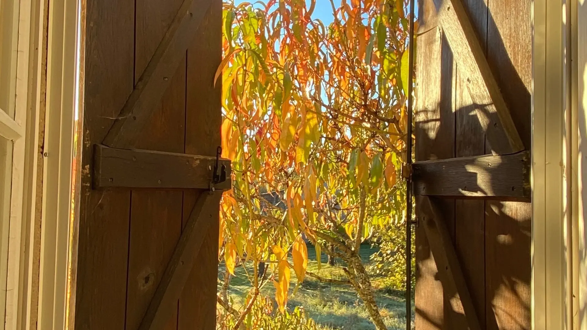 Vue depuis la chambre pêcher