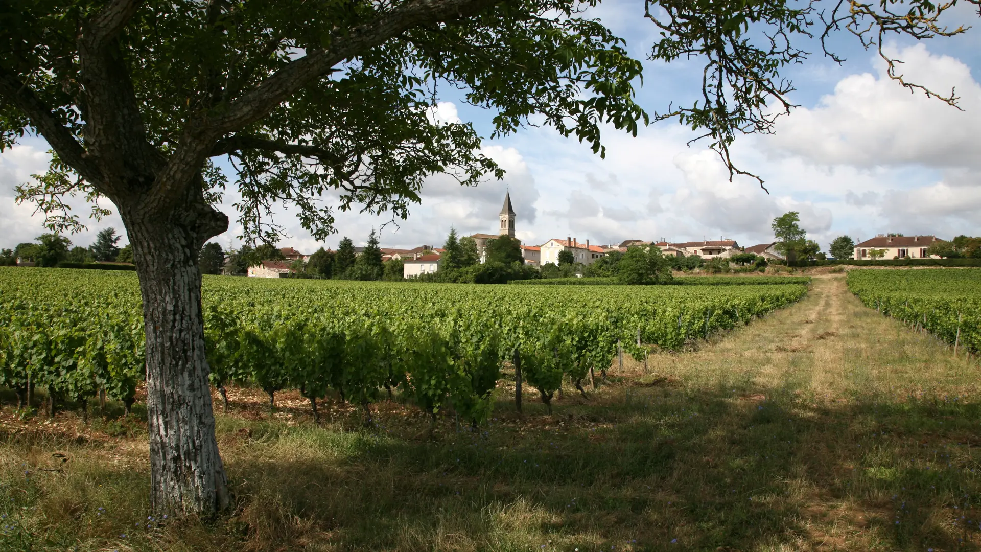 Sauzet - Vue du Village