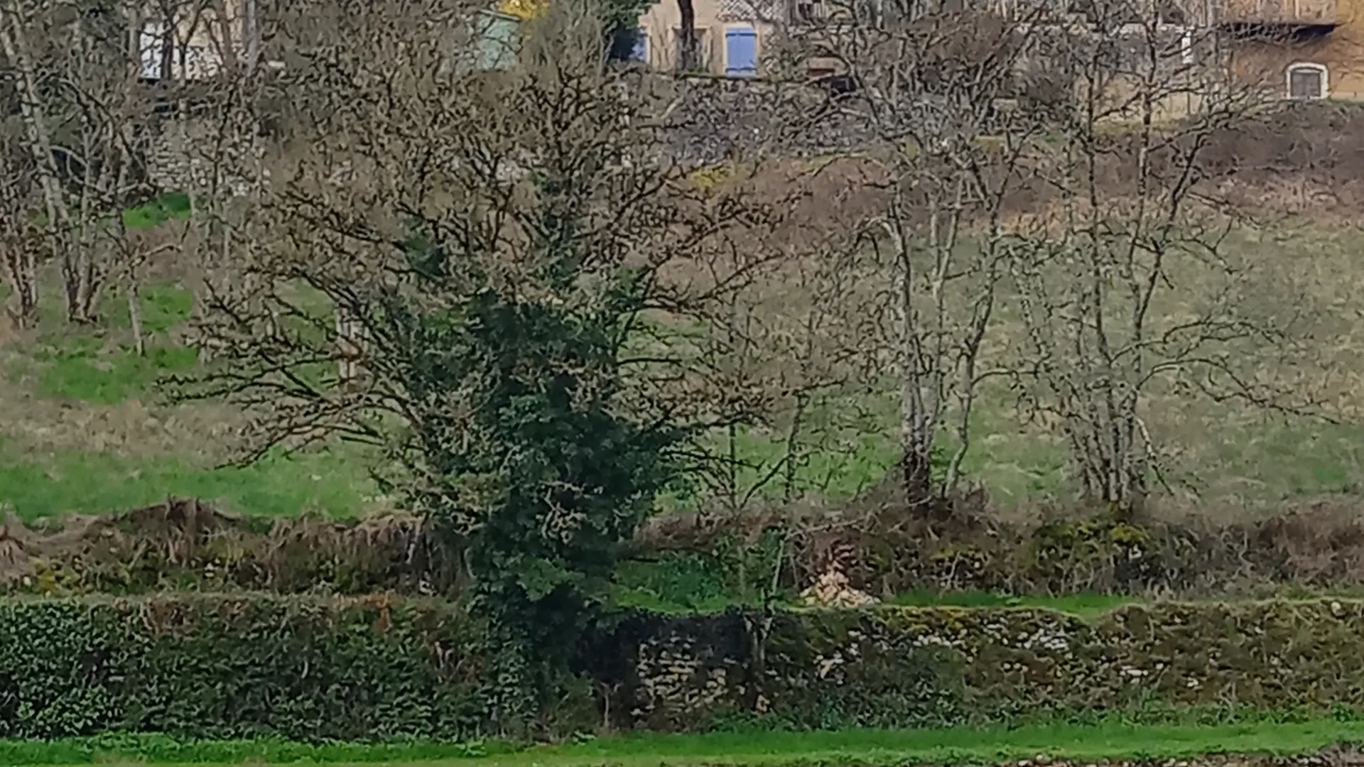 Vue maison depuis le lac