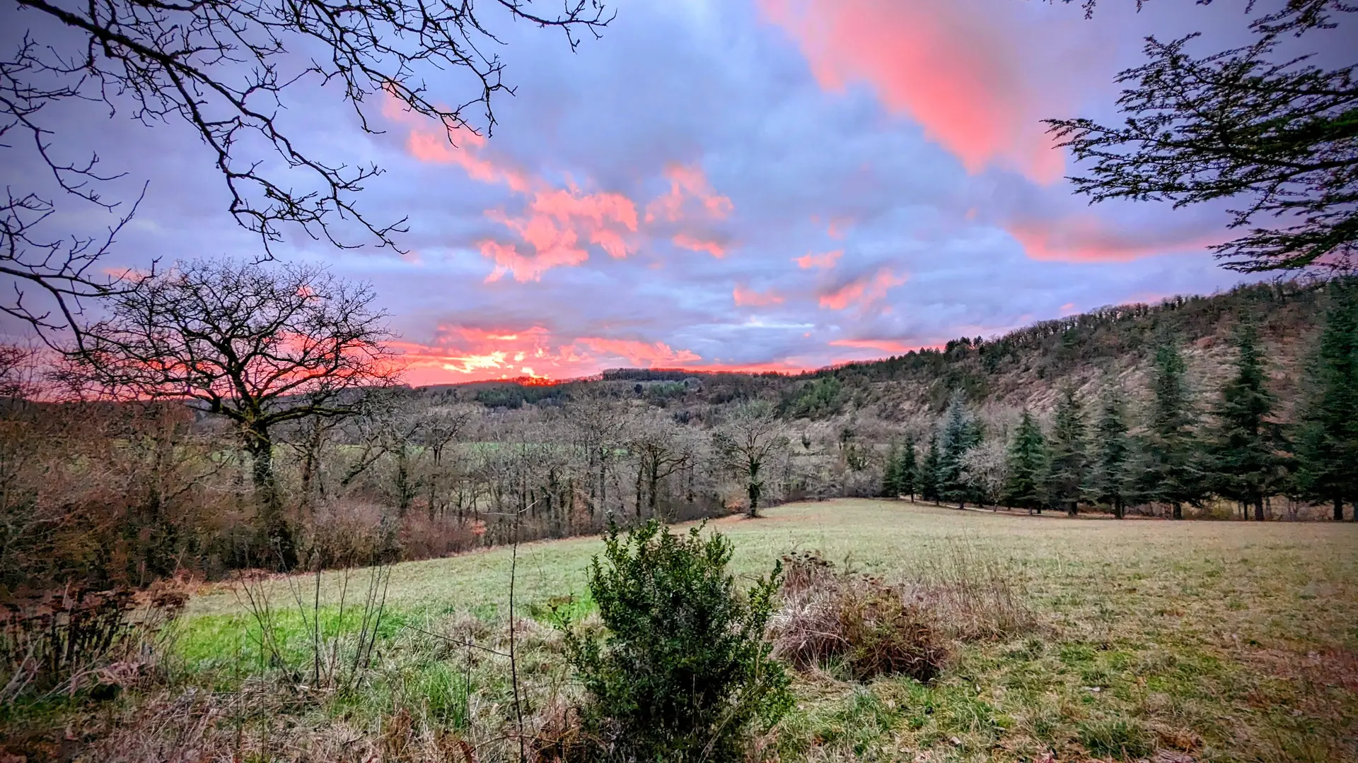 Vue sur la propriété (chemin d'accès par l'allée de pins)
