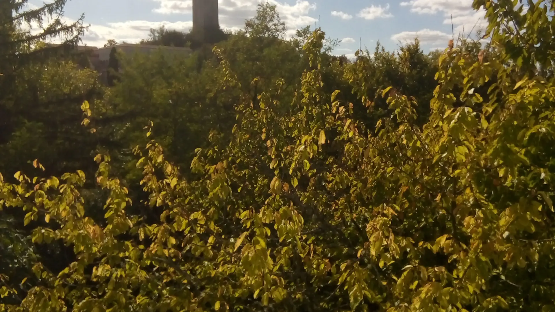 Vue sur la tour de Montcuq du terrain