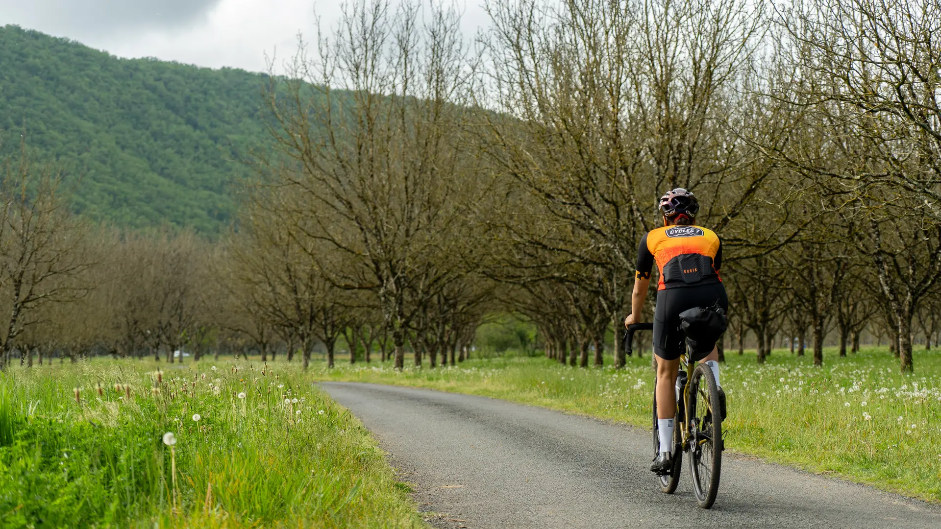 Cycliste dans une noyeraie