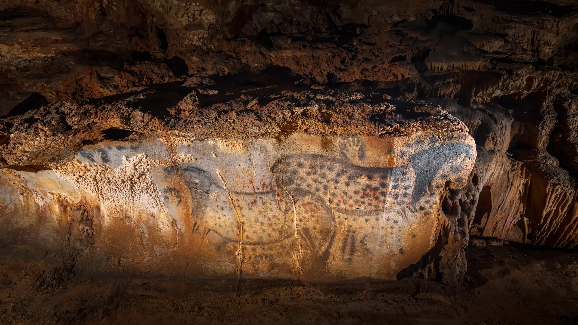 Chevaux ponctués - vue très large - Grotte du Pech Merle