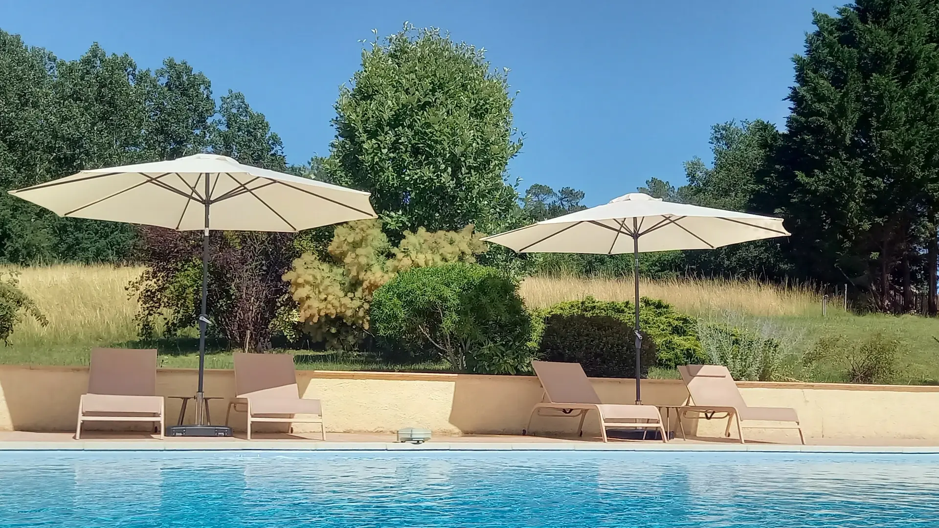 La piscine partagée avec les autres clients (max. 4)