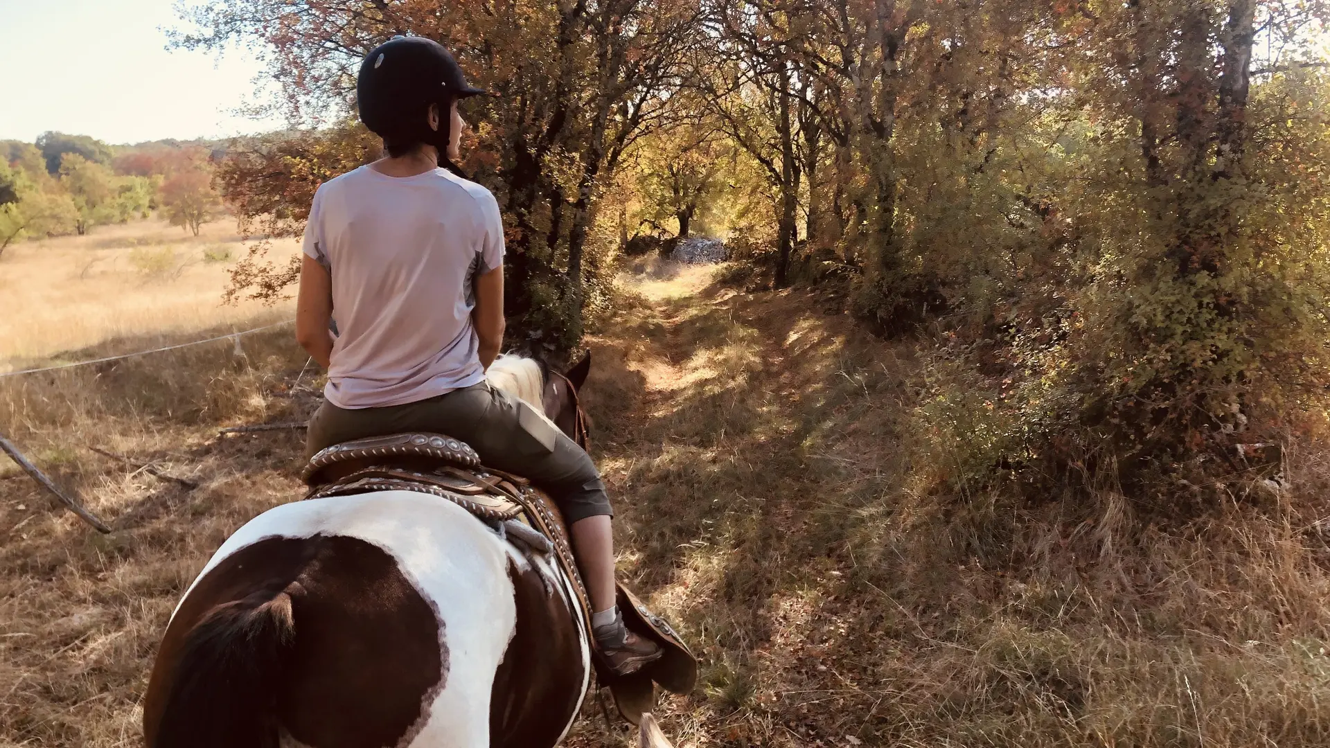 Westone Family's Ranch