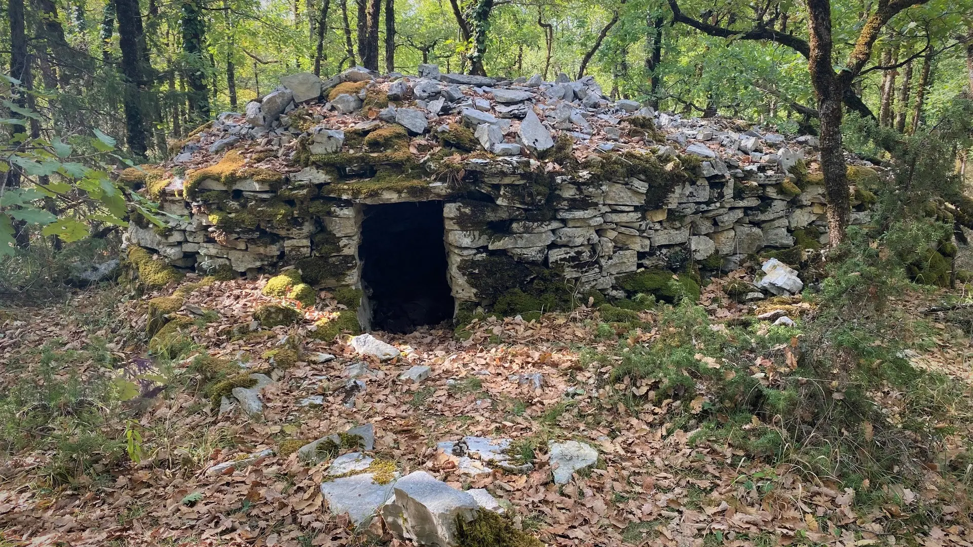 Borie Pech Curet - Salviac