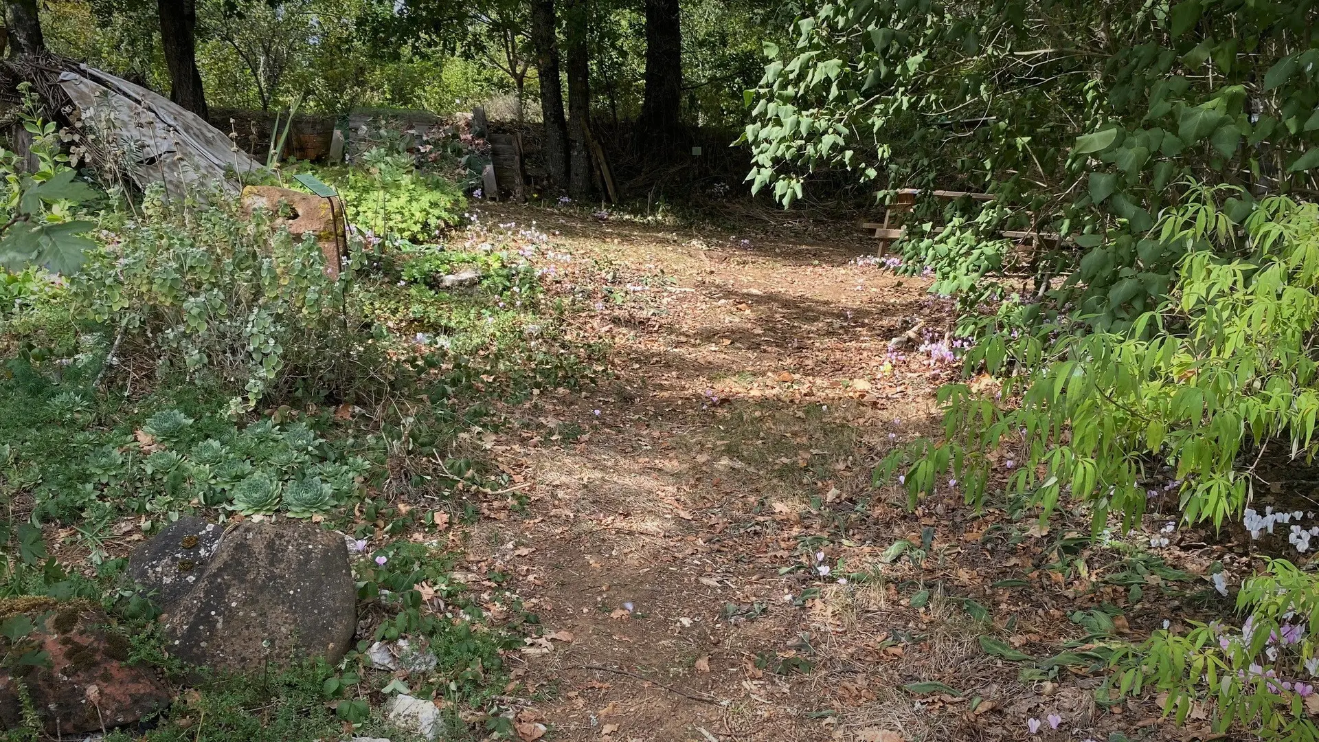 Jardin Bourian - Degagnac
